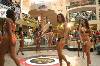 SC 83 (492Wx328H) - Group Parade 